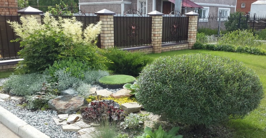 Ива шаровидная пурпурная Нана