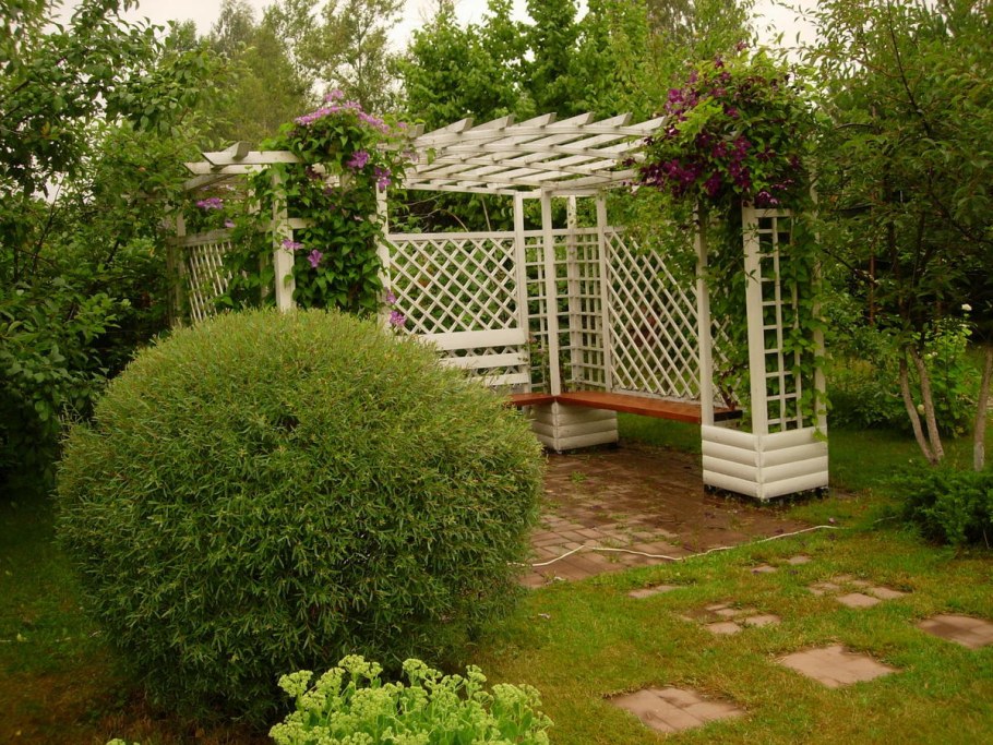 Ива шаровидная в ландшафтном