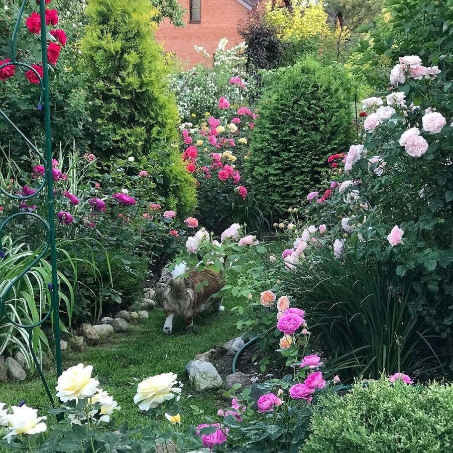 Миксбордер Хайди Клум