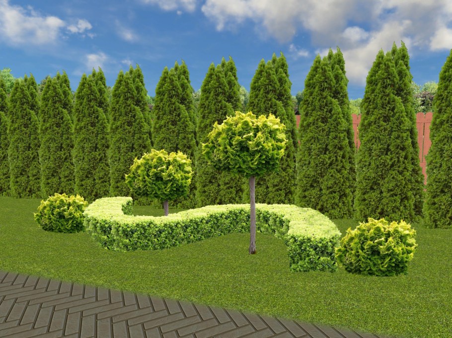 Туя Смарагд спиралевидная