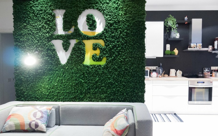 Мох ягель стабилизированный в интерьере