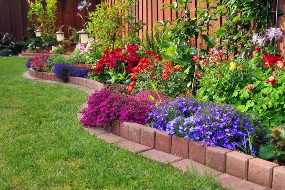 Рабатка Тунберга однолетник