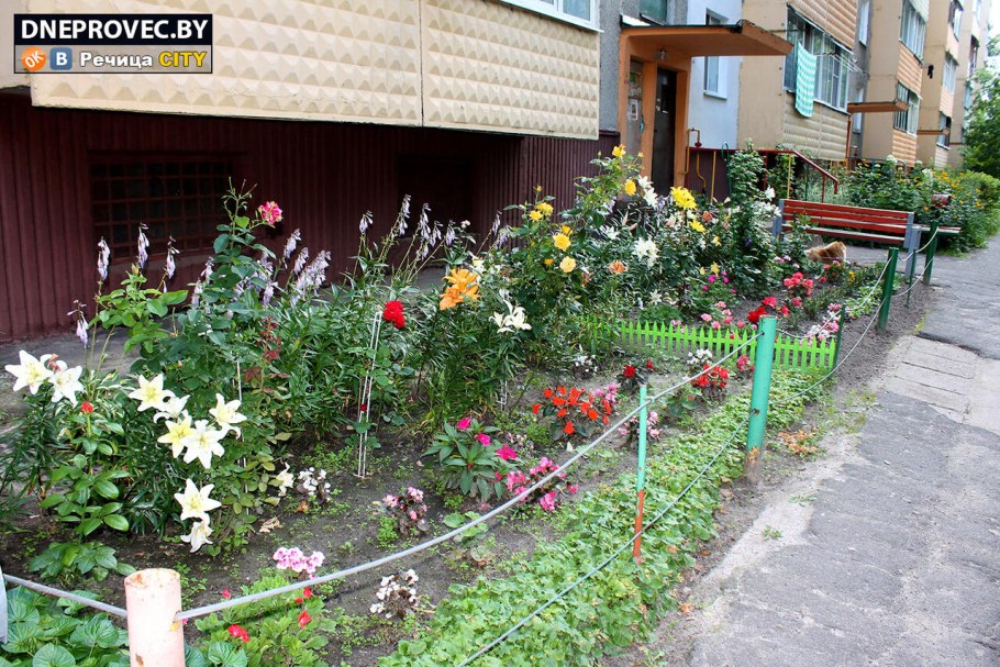 Цветник у дома