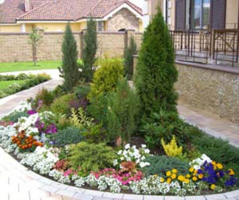 Миксбордер с туями