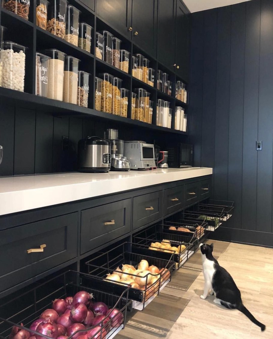 Кладовая кухни интерьер