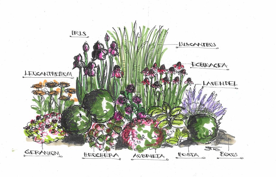 Миксбордер в английском стиле схема