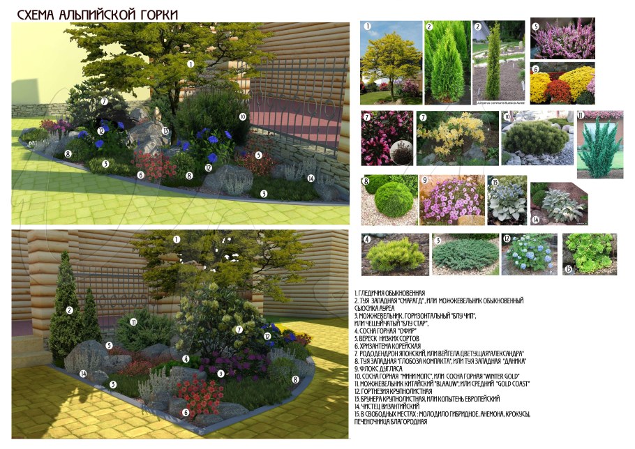 Альпийская горка с хвойниками и многолетниками