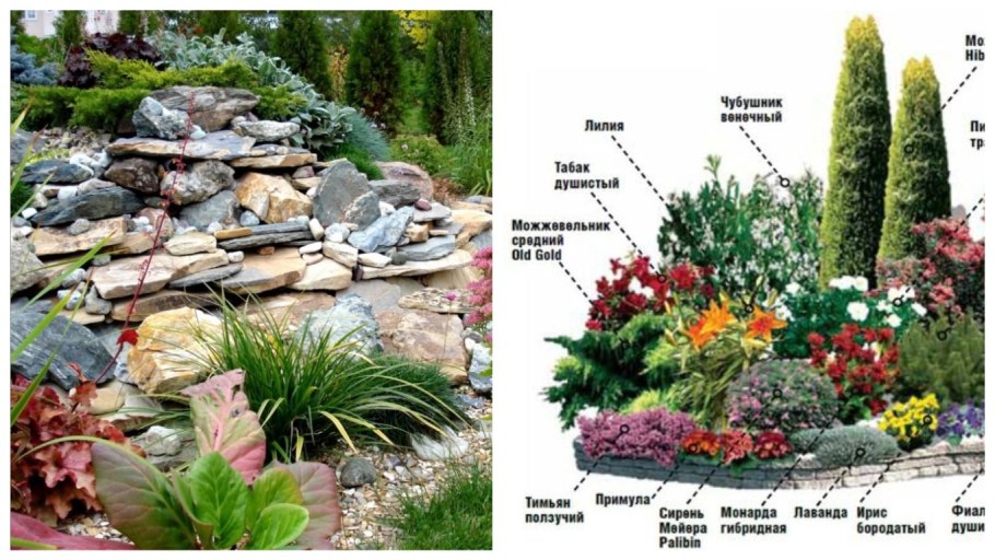 Схема альпийской горки со списком растений