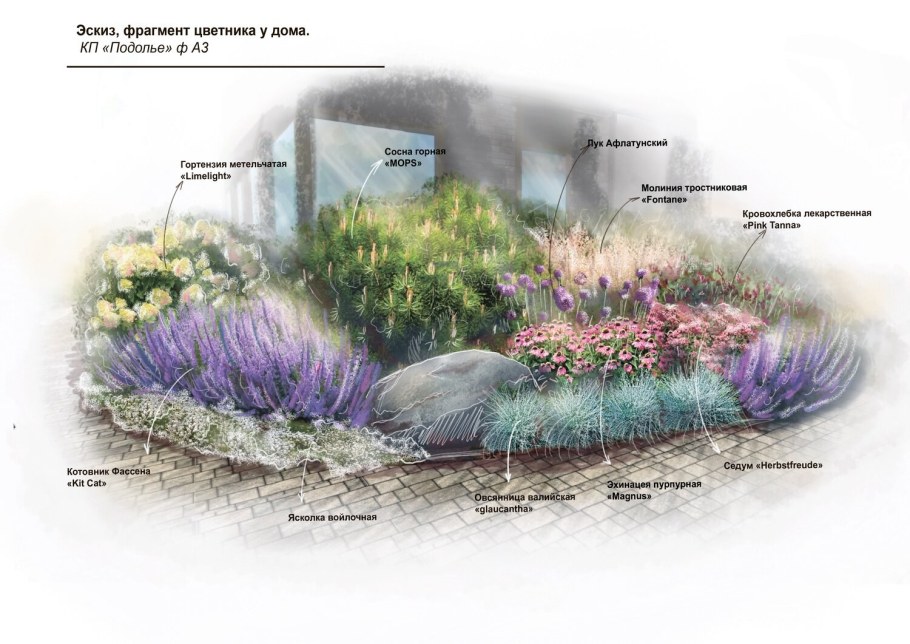 Миксбордер из кустарников схема посадки