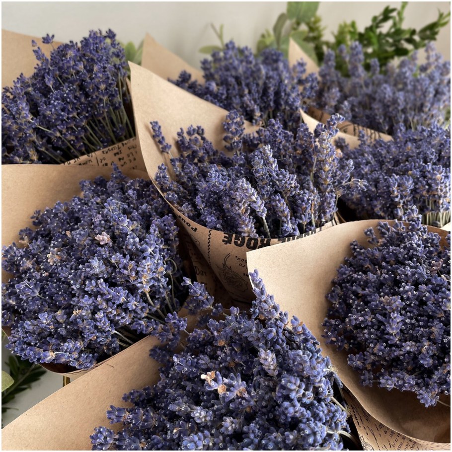 Сухоцветы "Лаванда"