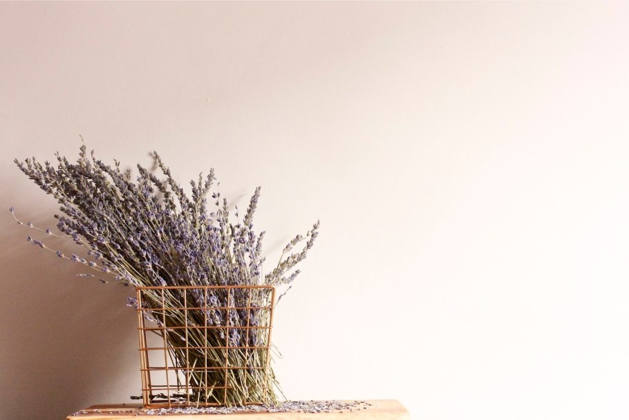 Сухоцветы "Лаванда"