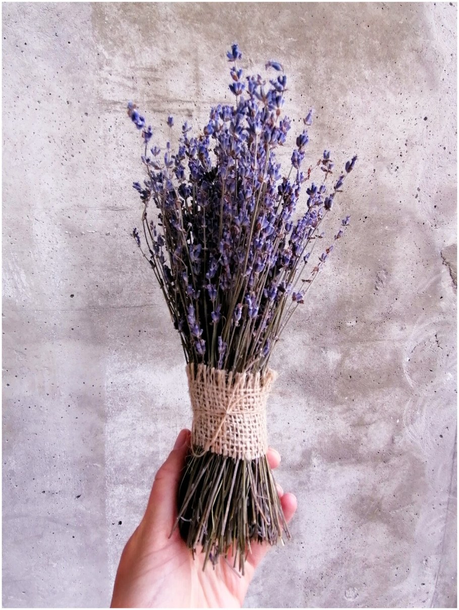 Сухоцветы "Лаванда"