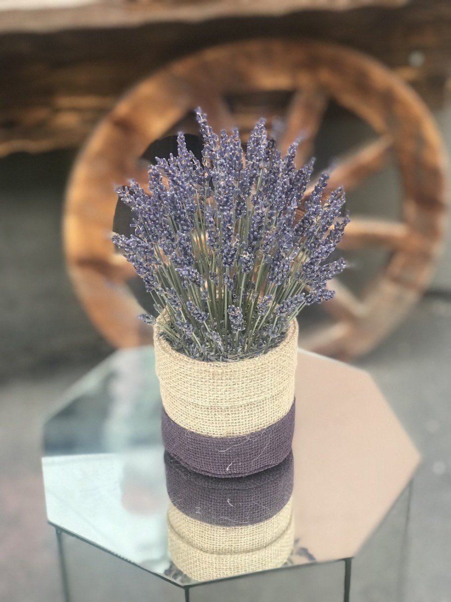 Сухостой Лаванда