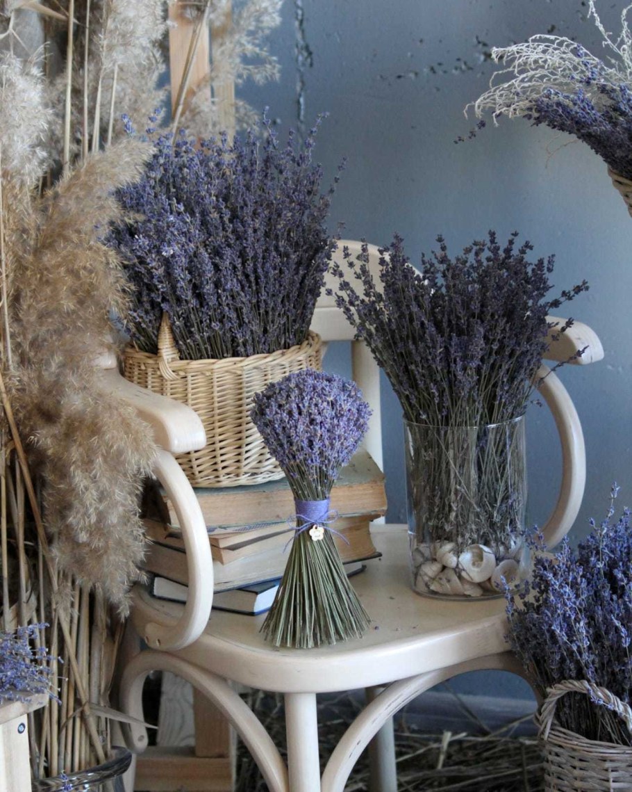 Сухие цветы для декора