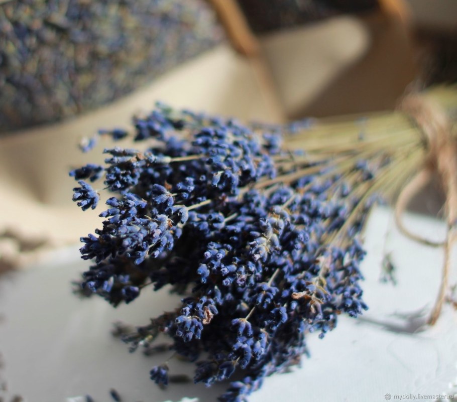 Сухоцветы "Лаванда"
