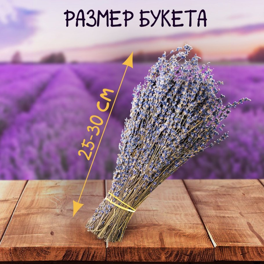 Лаванда букет