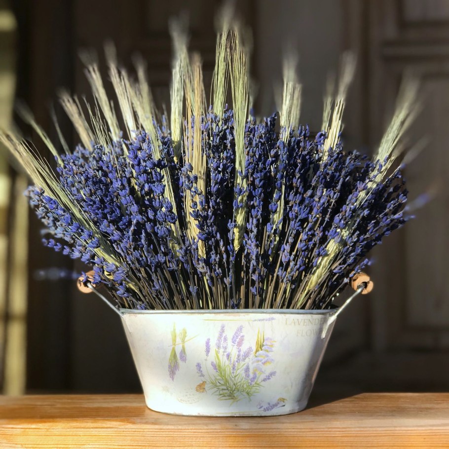 Пшеница Лаванда Лагуру