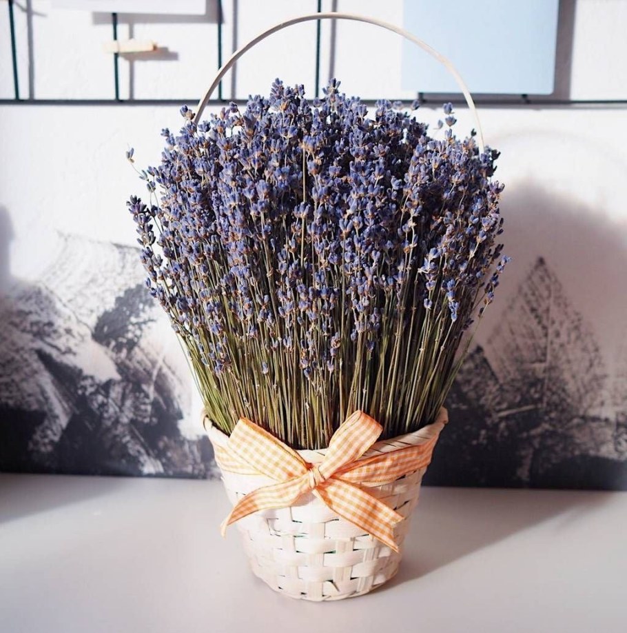 Композиции из сухоцветов с лавандой