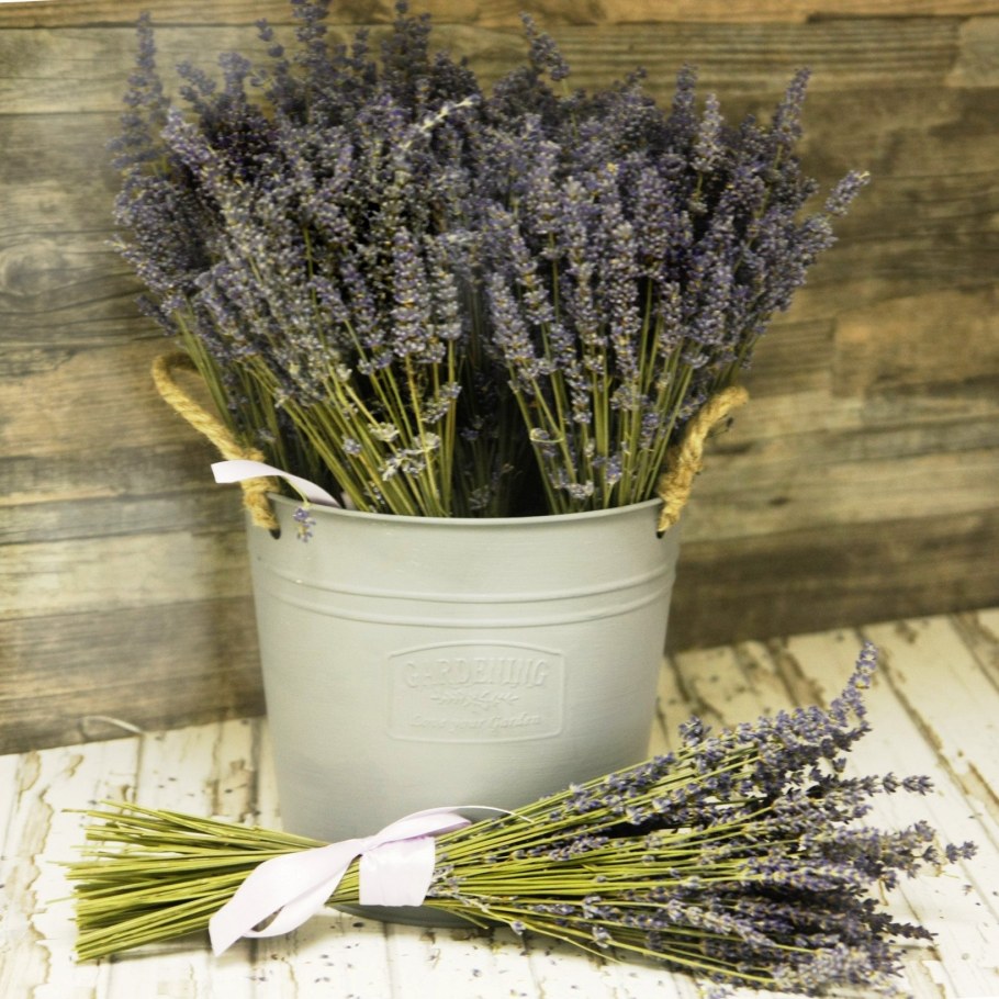 Лаванда шалфей Вереск