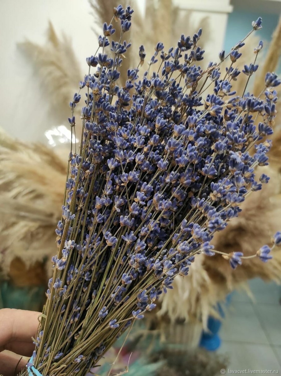 Сухоцветы "Лаванда"