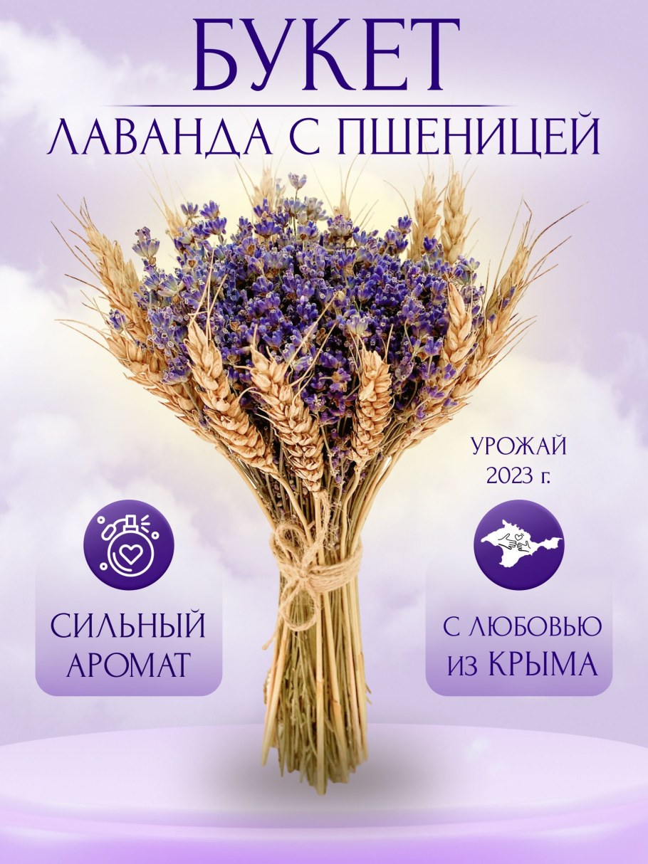 Гелихризум сухоцвет композиция