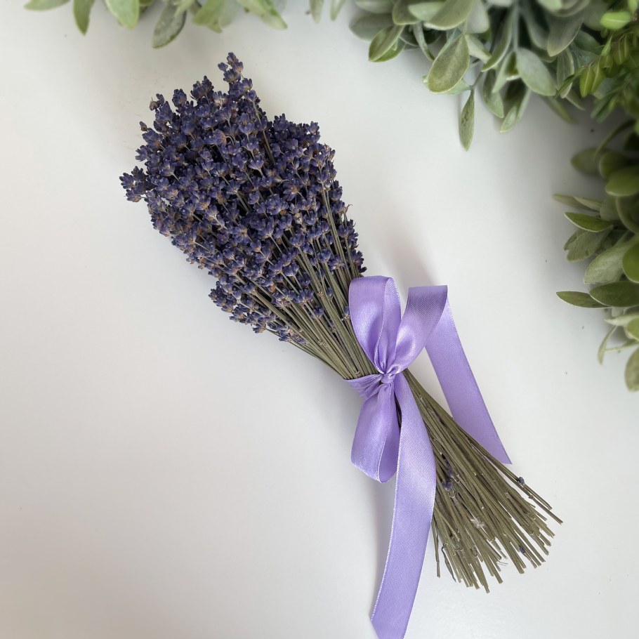 Лаванда Калининград