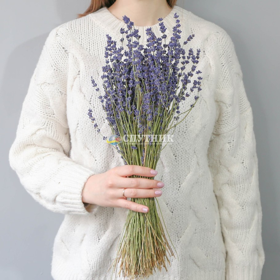 Девушка с сухоцветами