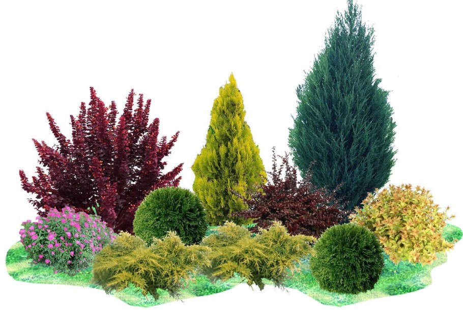 Миксбордер с туей Смарагд