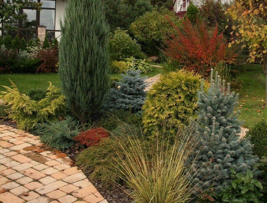 Миксбордер с можжевельником Скайрокет