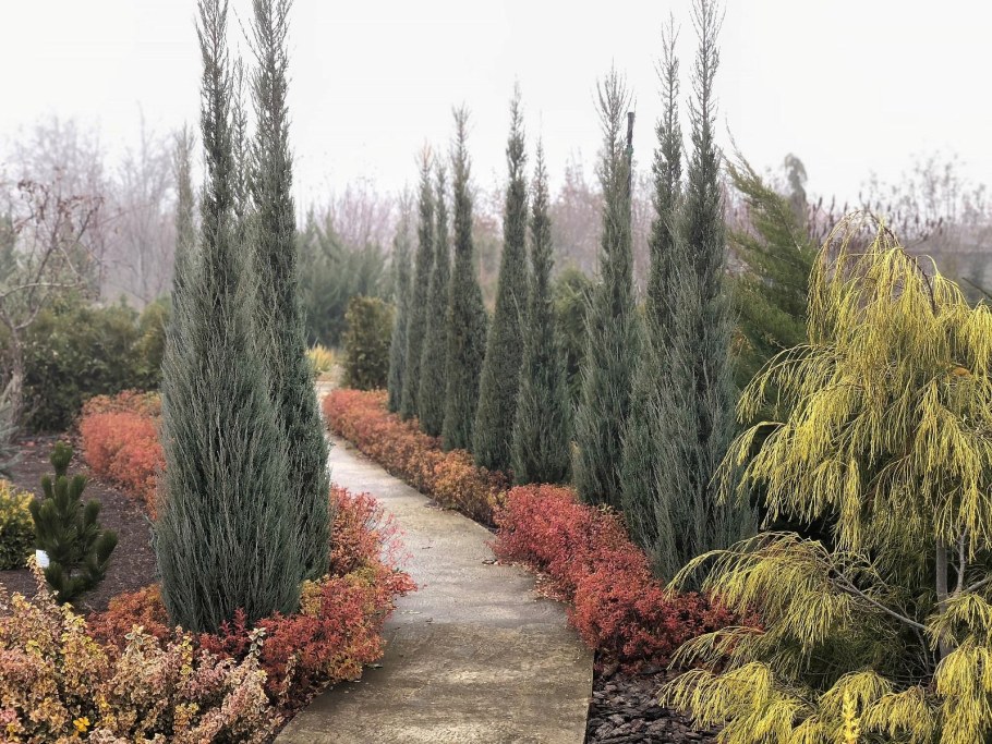 Прекрасные сады Краснодар