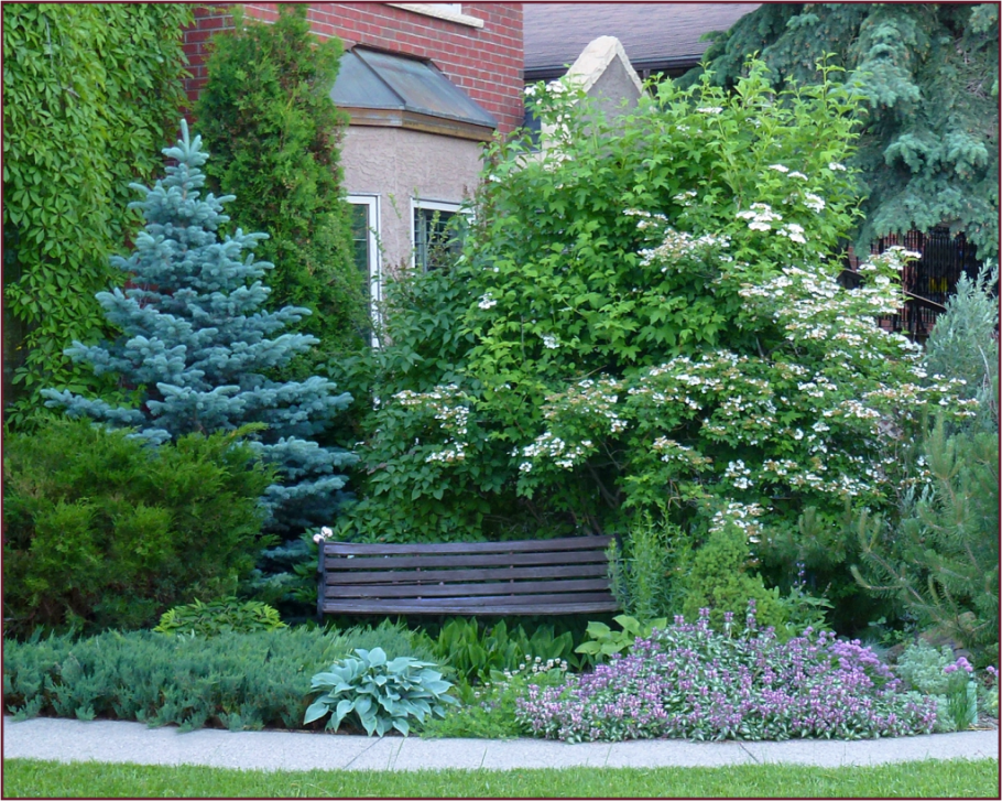 Миксбордер туя гортензия Барбарис можжевельник