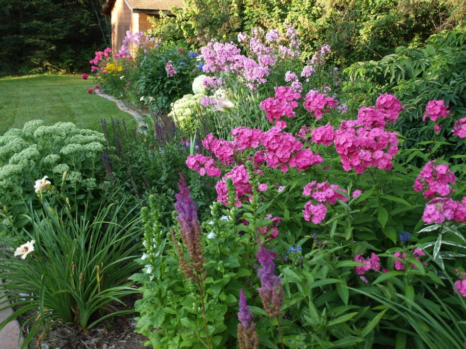 Дельфиниум и Флоксы