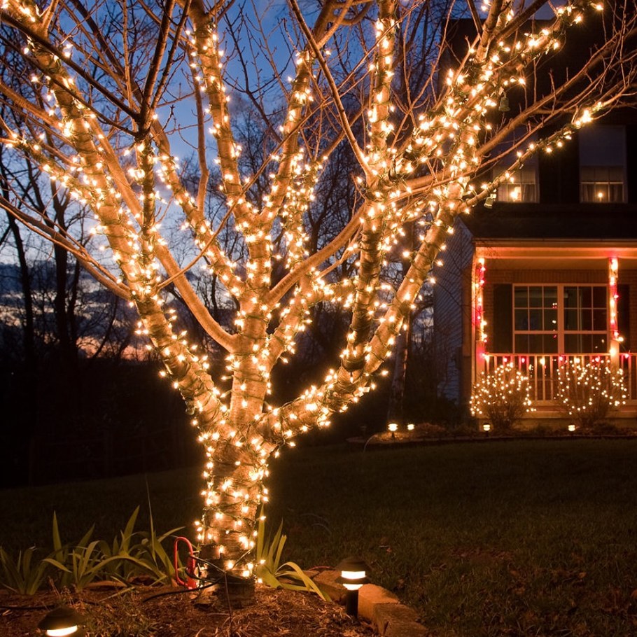 Деревья украшенные гирляндами