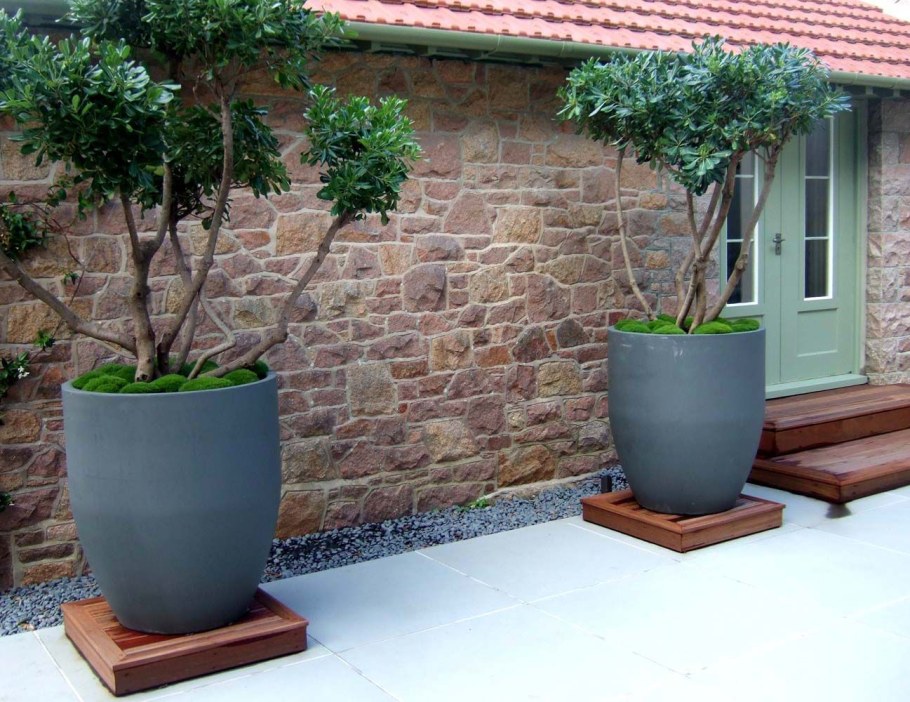 Контейнерное Озеленение патио