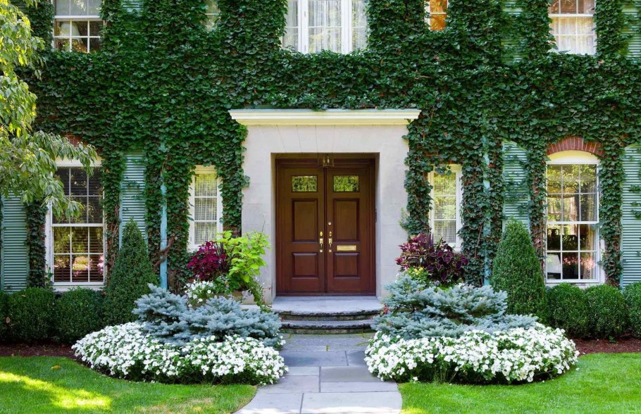 Палисадники в Голландии