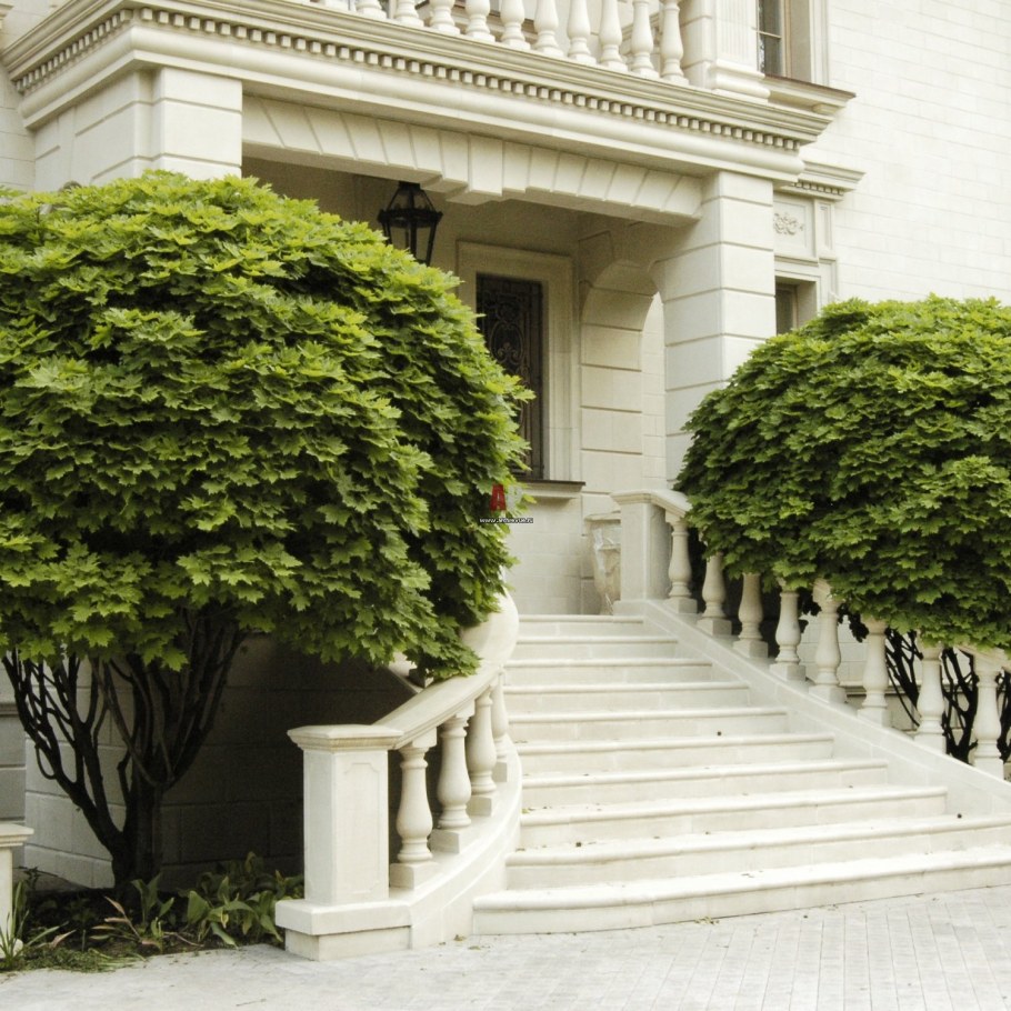 Солитер Ландшафтная архитектура