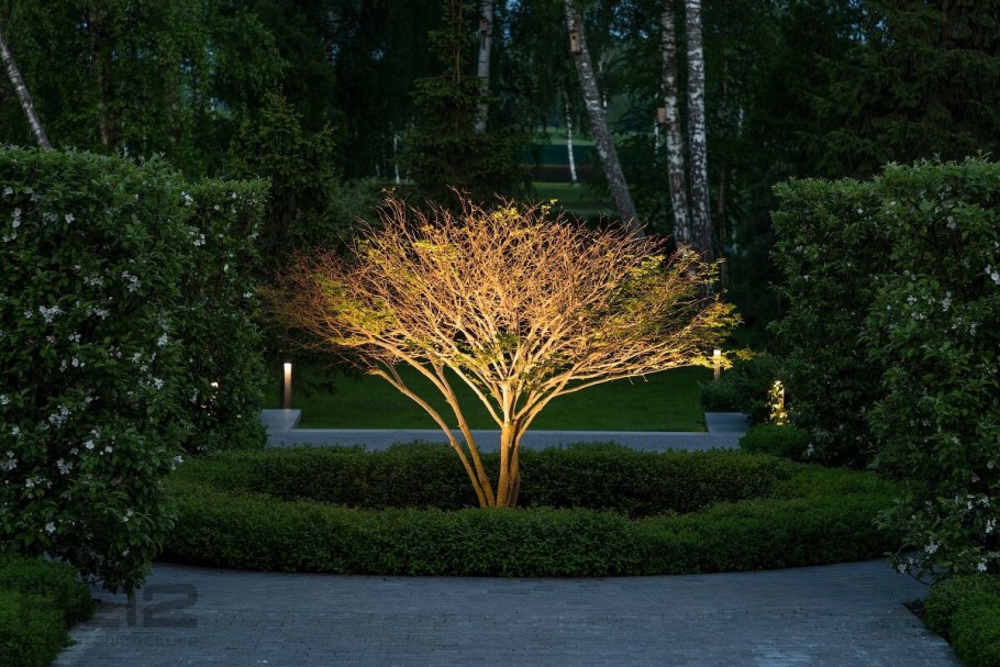 Подсветка деревьев