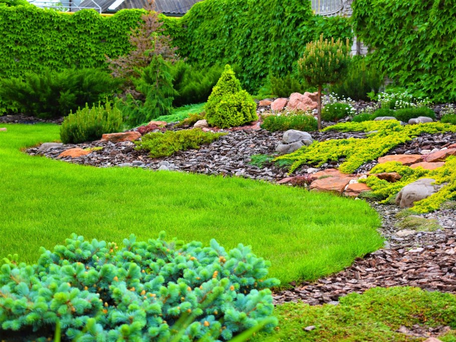 Рокарий- Альпийская лужайка