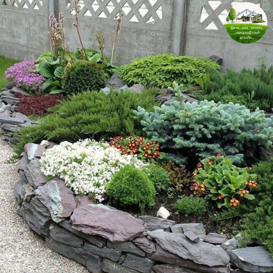 Альпинарий хвойные Каскад