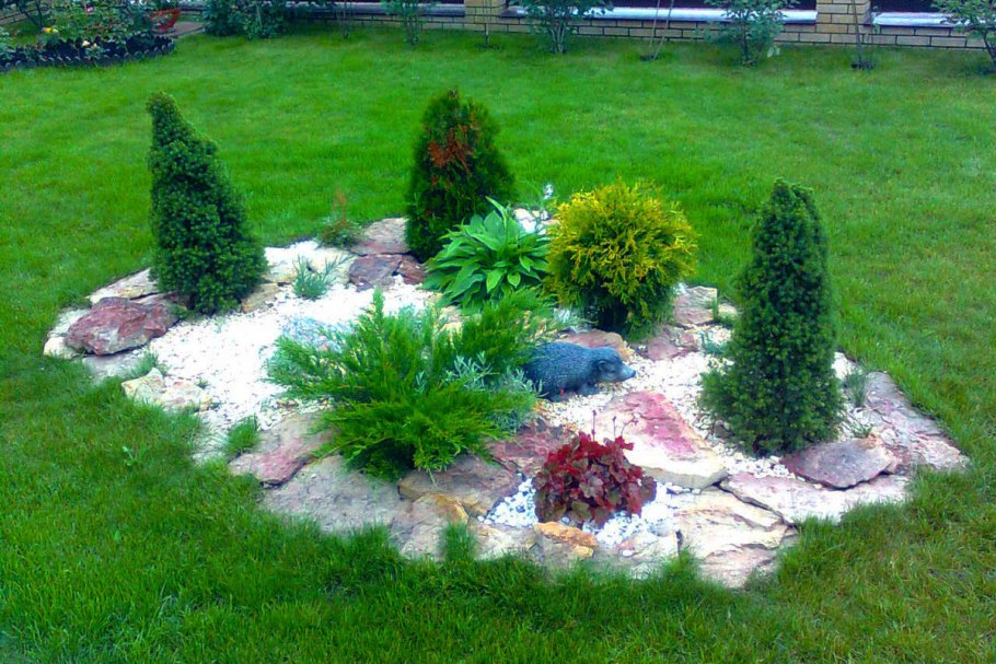 Каменистый садик с хвойниками