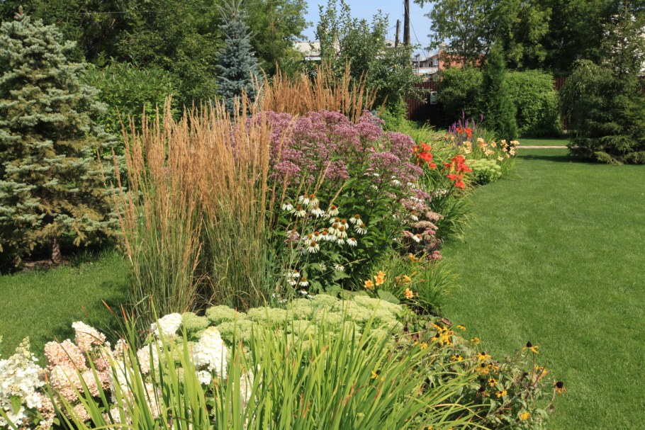 Вейник остроцветковый Overdam