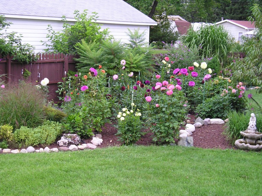 Лаватера на клумбе