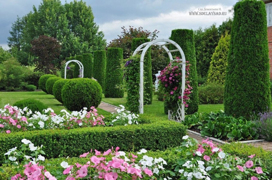 Сад Николая Дементьева Богданиха