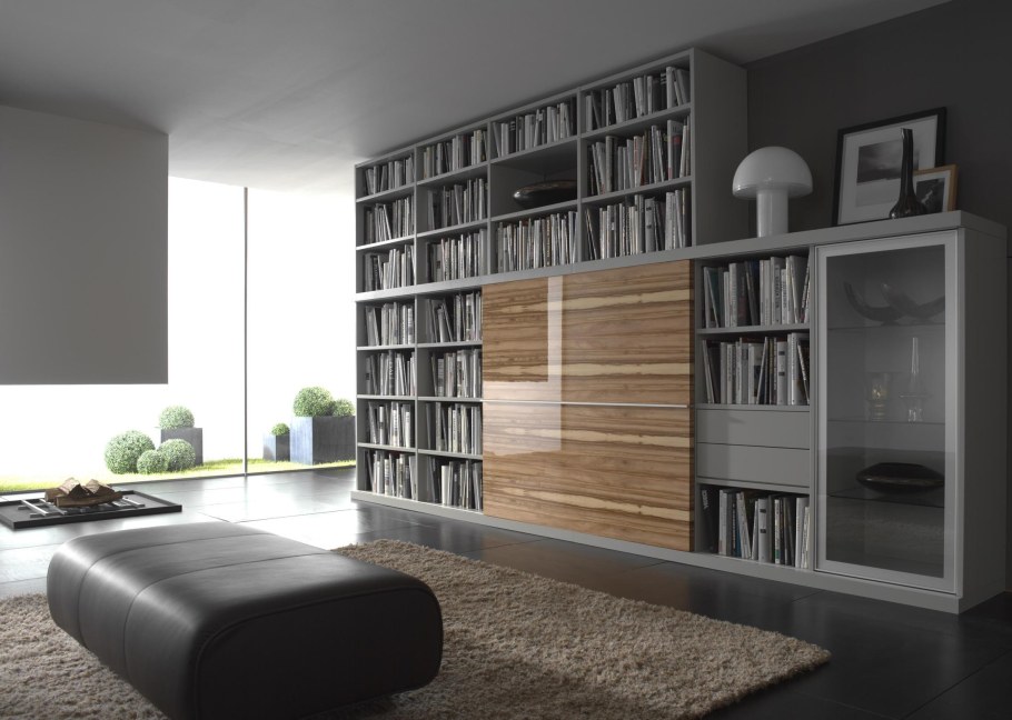 Современный книжный шкаф