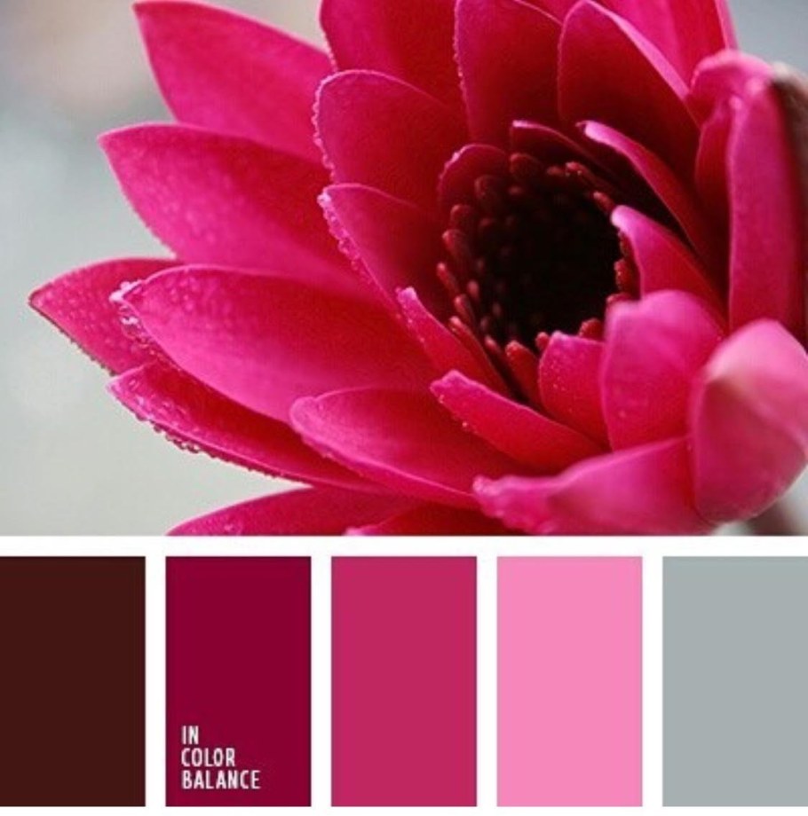 Цветовая палитра пион фуксия