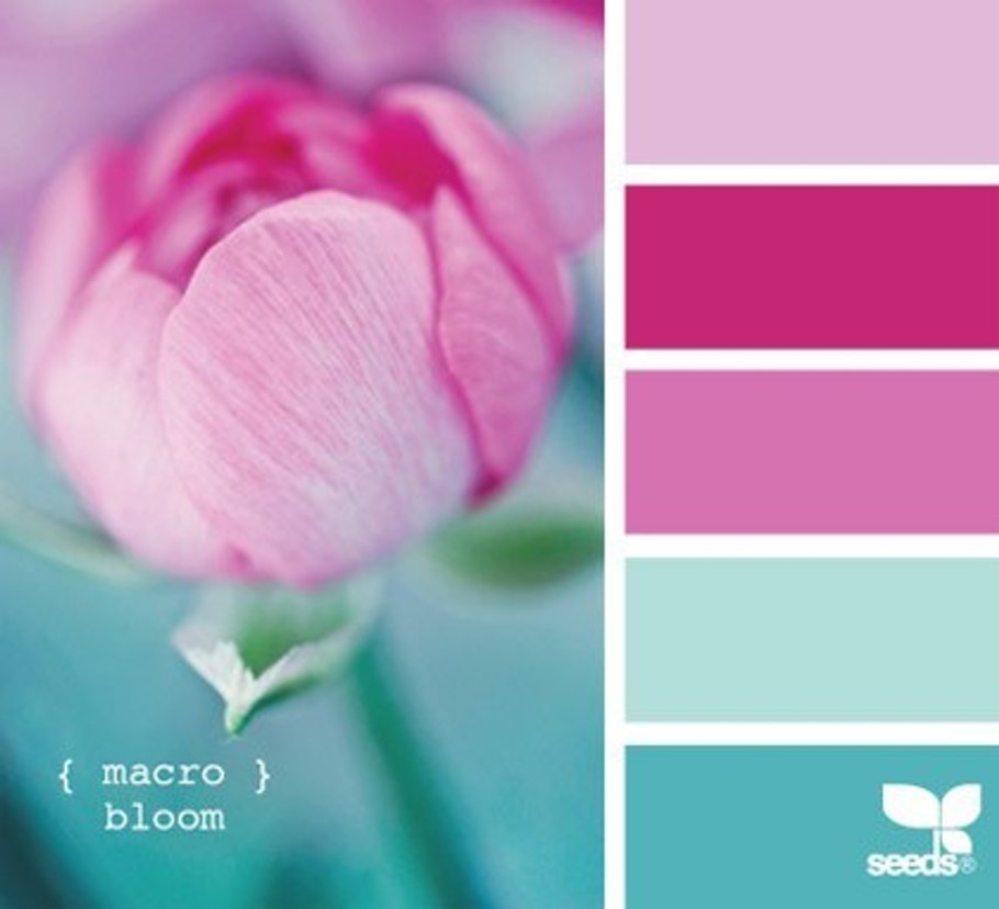 Цветовые сочетания бирюза