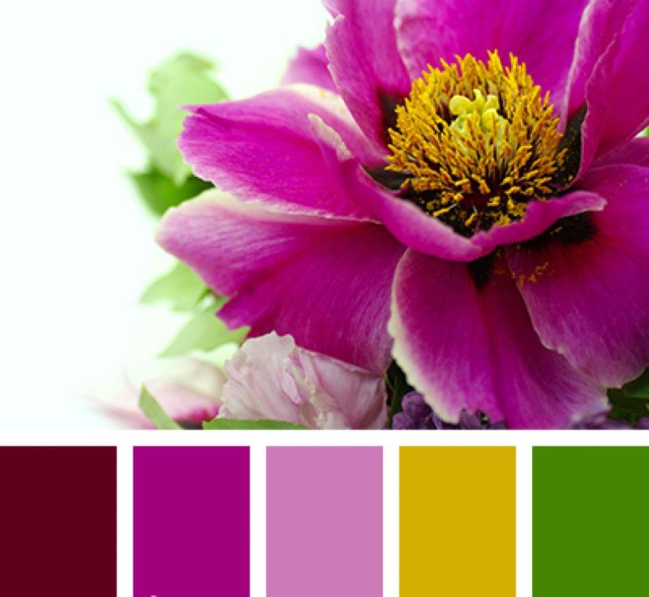 Пурпурный сочетание цветов