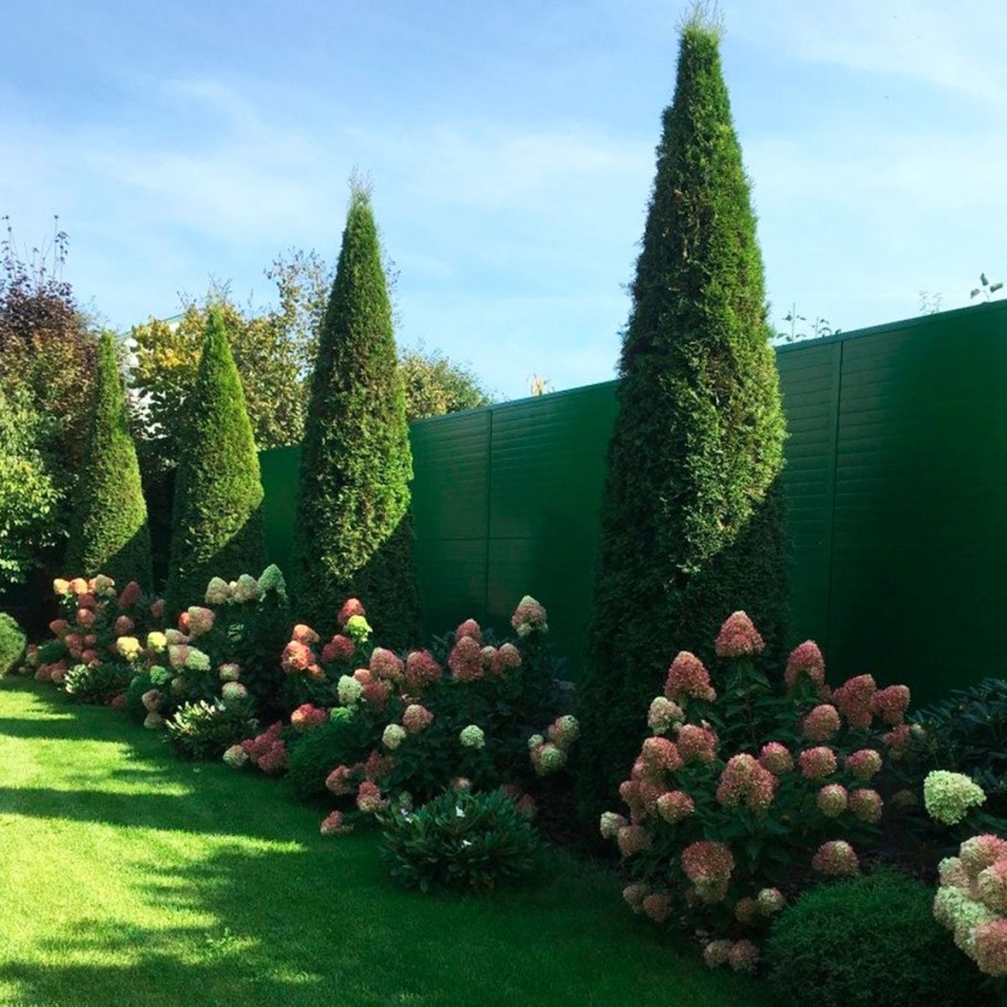 Миксбордер с туей Смарагд