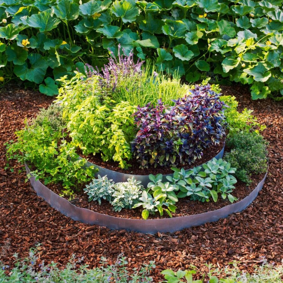 Грядка для пряных трав