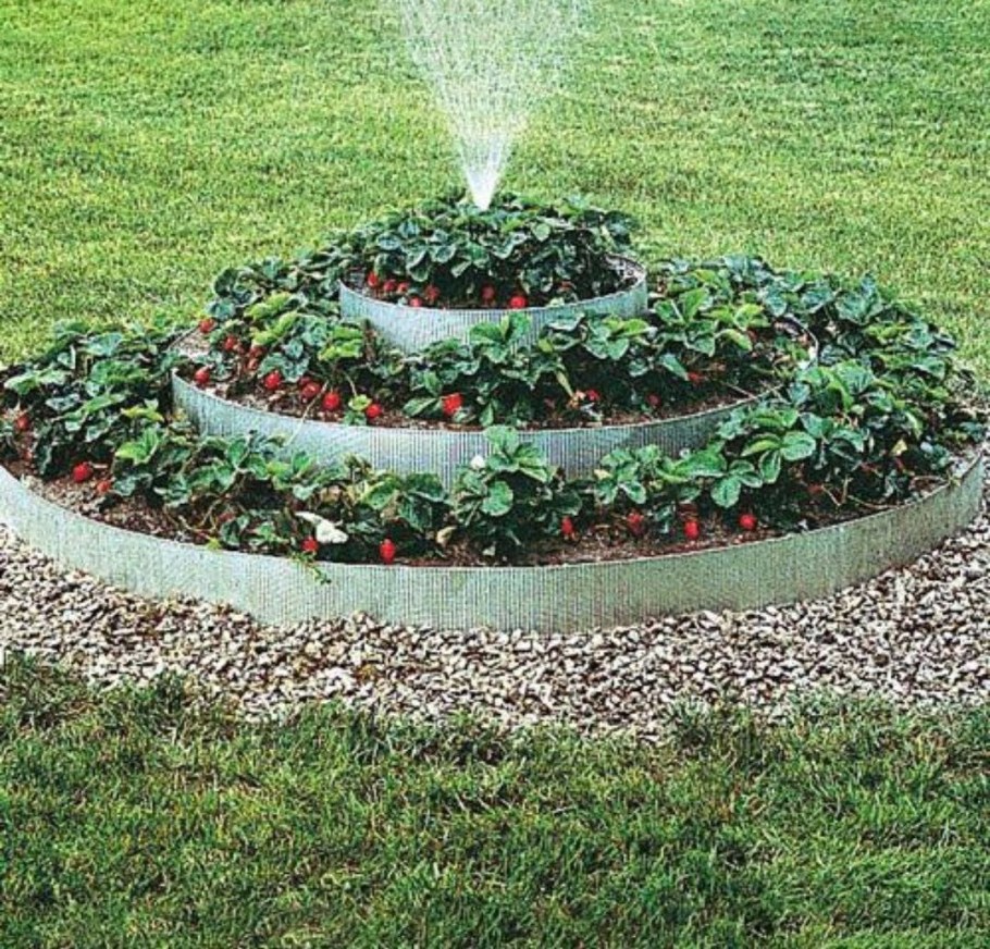 Красивые клумбы для клубники